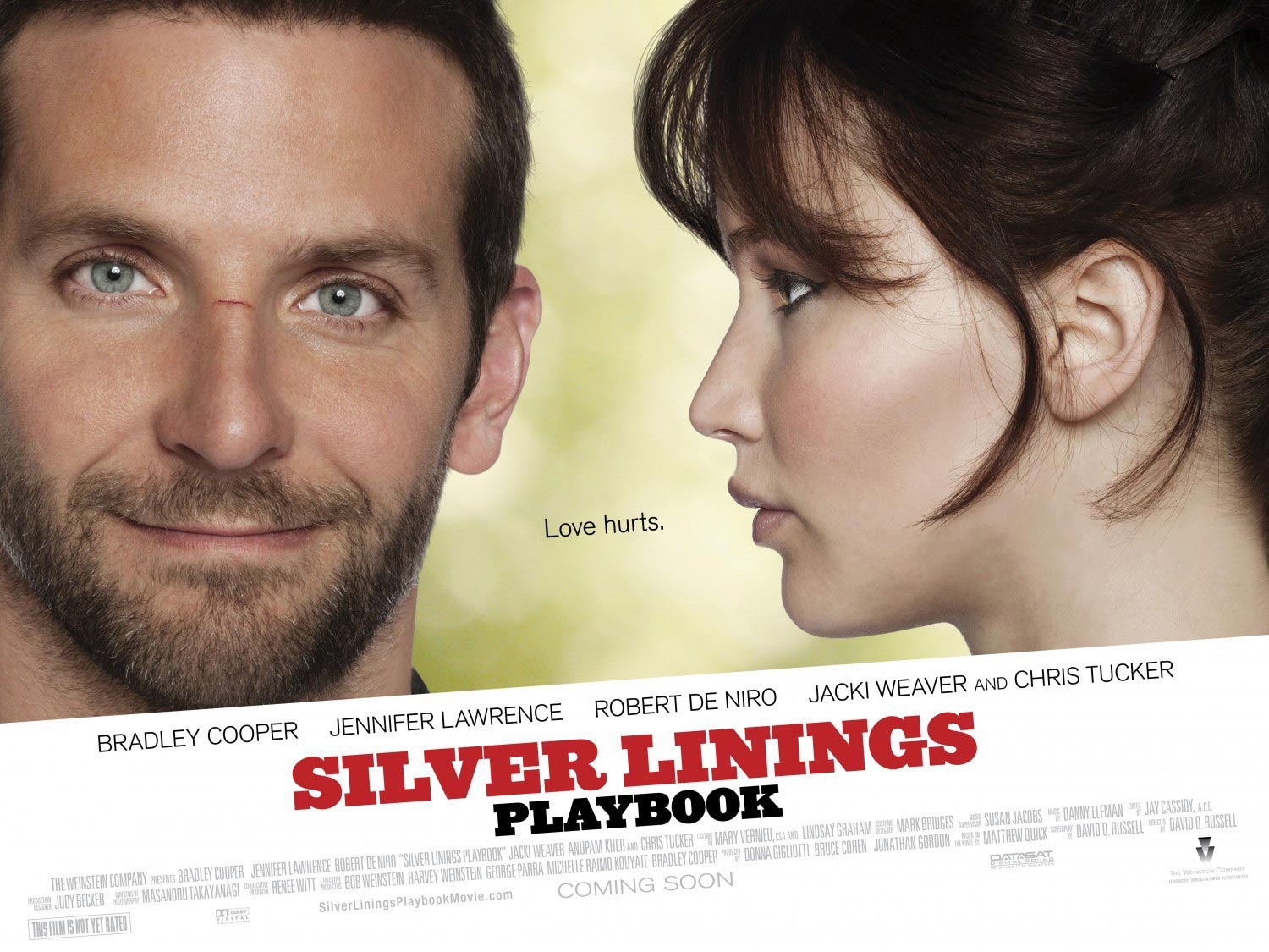 movie review of silver linings playbook