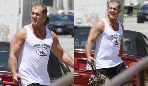 mel gibson expendables 3