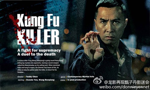 Kung-Fu-Killer