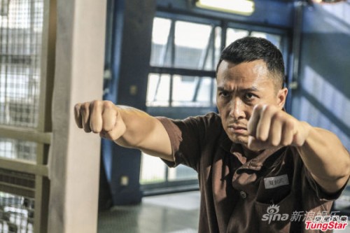 donnie yen kungfu jungle